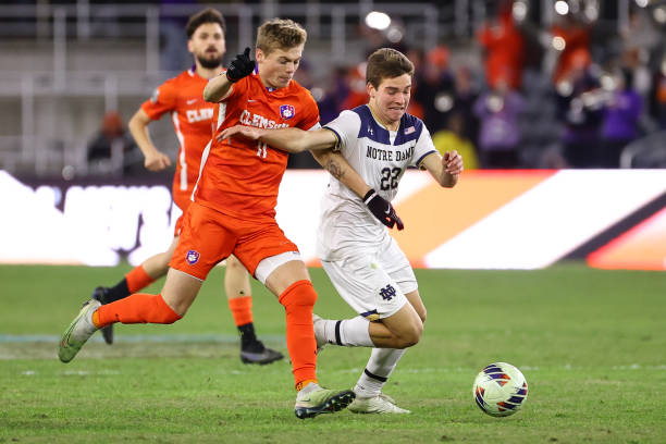 不是单一的 不是单一的